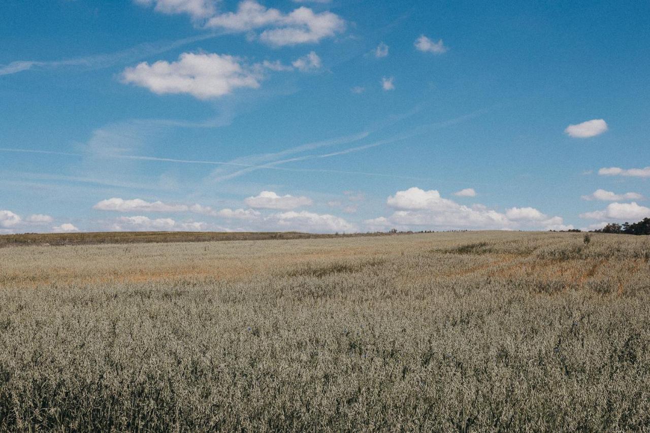 Agroturystyka Pod Debem Łagów Dış mekan fotoğraf
